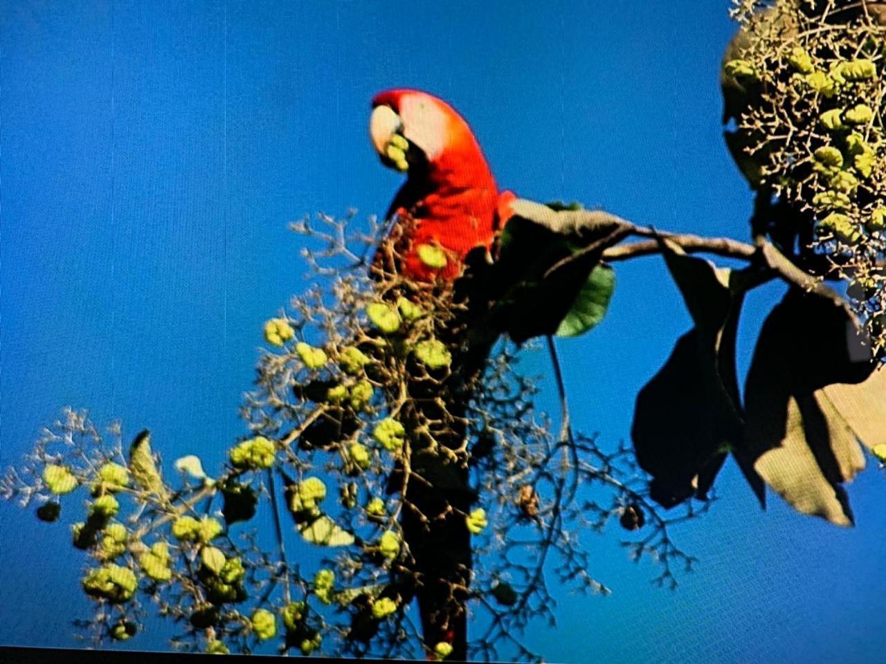 La Esmeralda Villa Orotina Luaran gambar