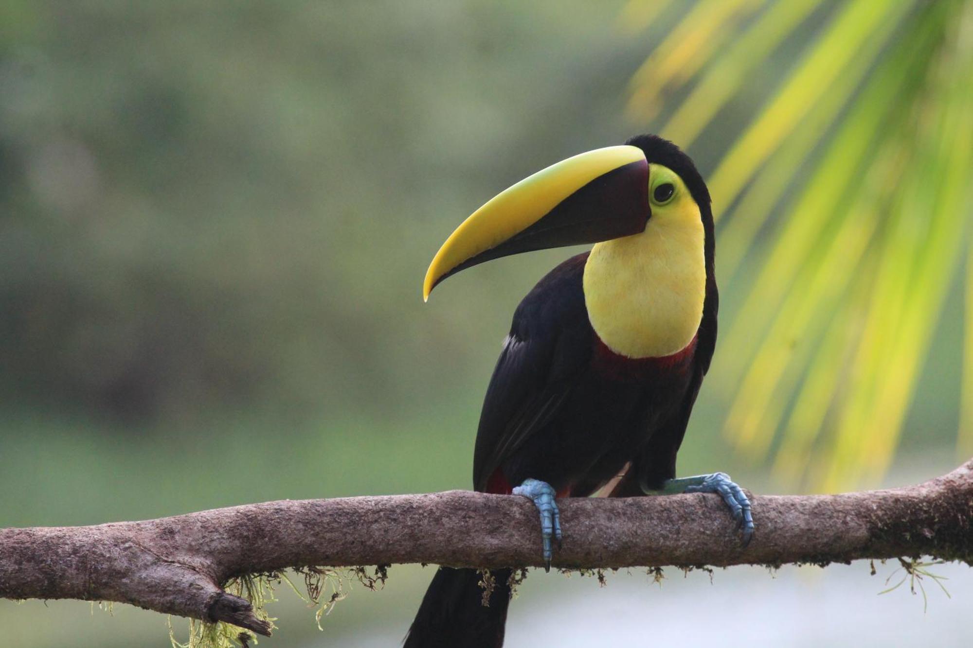 La Esmeralda Villa Orotina Luaran gambar